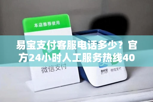 易宝支付客服电话多少？官方24小时人工服务热线400-810-5555一键获取