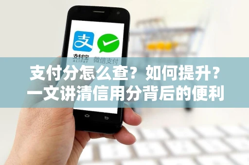 支付分怎么查？如何提升？一文讲清信用分背后的便利与风险