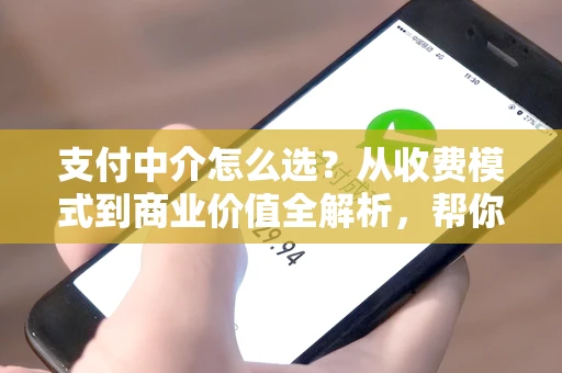 支付中介怎么选？从收费模式到商业价值全解析，帮你省下每一分钱