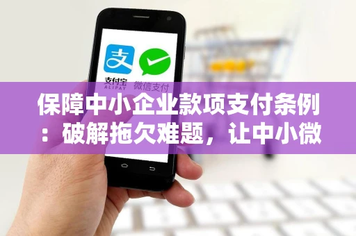 保障中小企业款项支付条例：破解拖欠难题，让中小微企业不再被压款